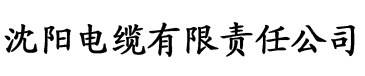 黄色小视频免费电缆厂logo